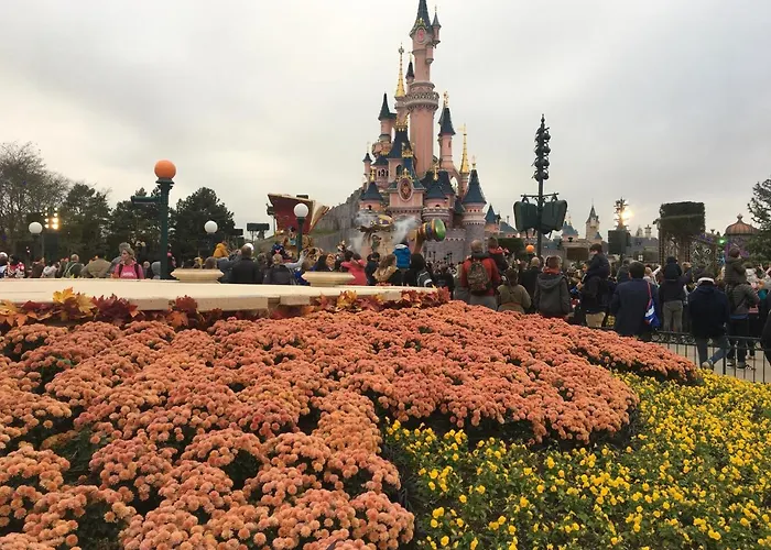 F&B\'S Garden 10 Min Disneyland Paris